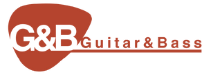 Guitar and Bass Build
